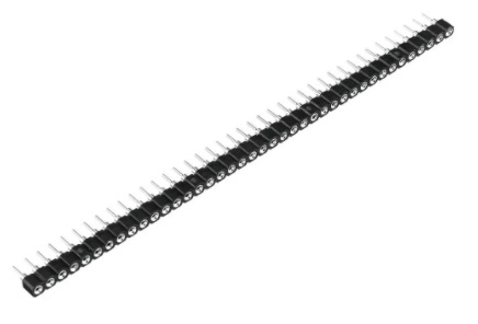 piny socket